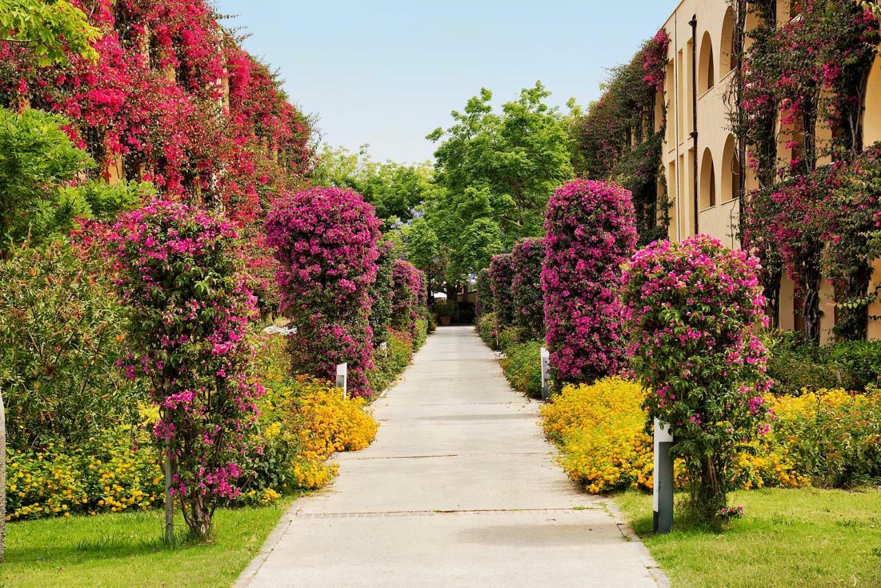 Tui Magic Life Calabria Hotel ปิซโซ ภายนอก รูปภาพ